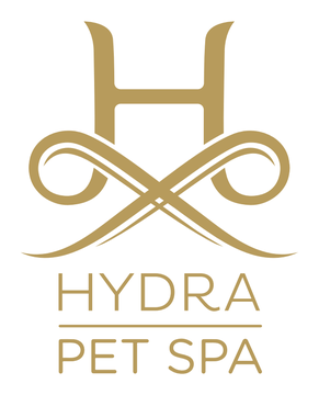 Hydra