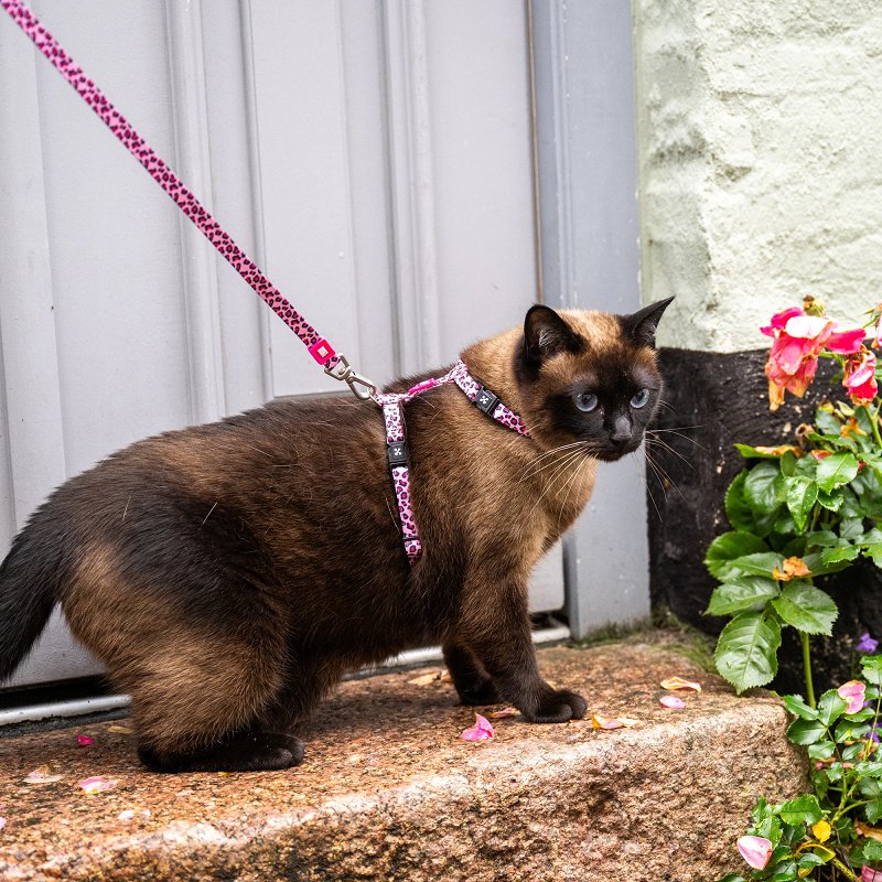 Шлея з повідцем для котів Max & Molly Cat Harness/Leash Set Leopard Pink — Фото 2