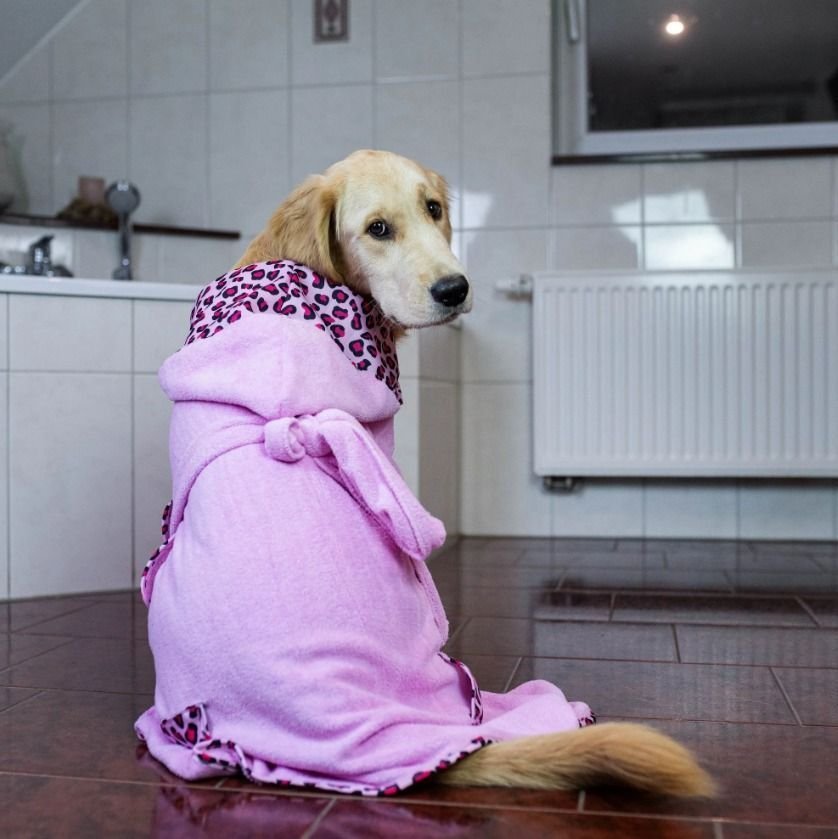 Халат для собак Max & Molly Леопардовий рожевий — Фото 4