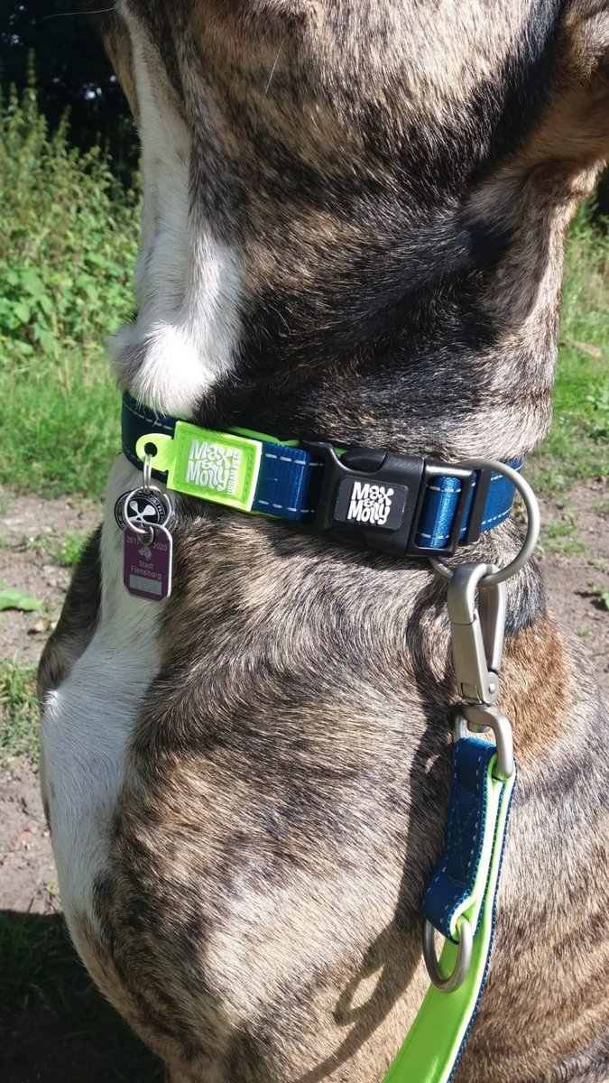 Нашийник для собак Max & Molly Smart ID Collar Matrix Lime Green — Фото 6