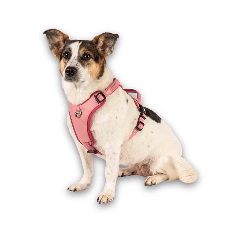 Шлея спортивна для собак Max & Molly Sport Harness Matrix 2.0 Rose, розмір XL — Фото 6