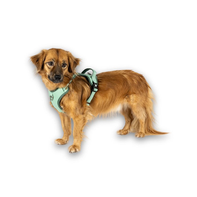 Шлея спортивна для собак Max & Molly Sport Harness Matrix 2.0 Jade, розмір XL — Фото 6