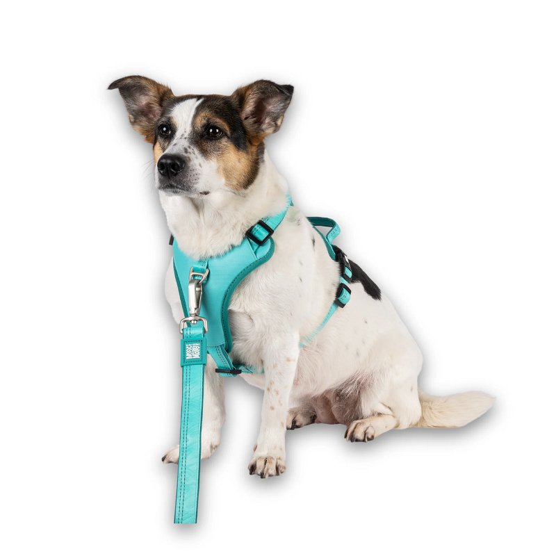 Шлея спортивна для собак Max & Molly Sport Harness Matrix 2.0 Turquoise — Фото 5