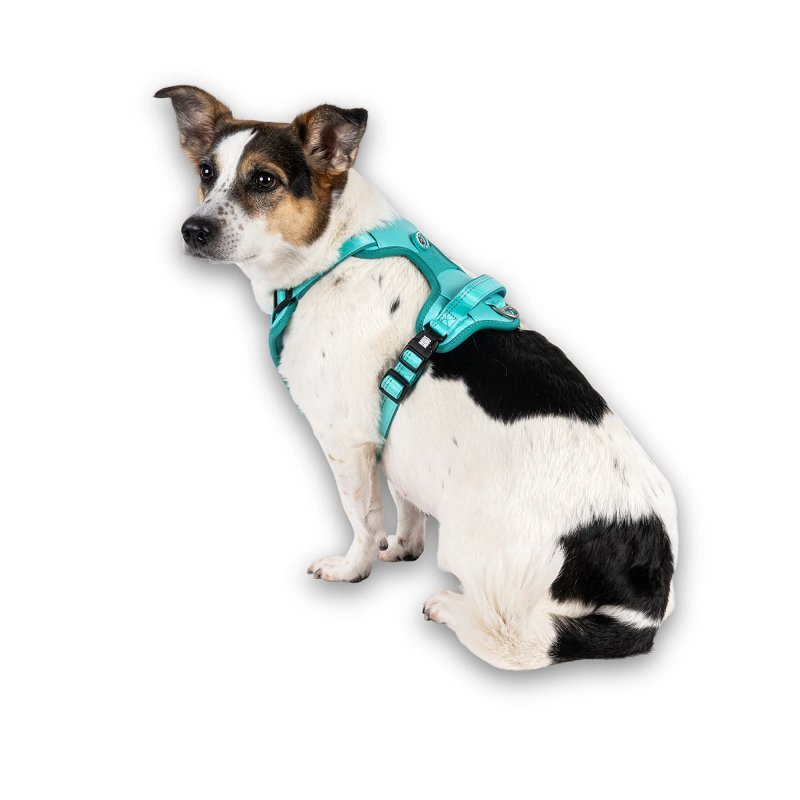 Шлея спортивна для собак Max & Molly Sport Harness Matrix 2.0 Turquoise — Фото 6