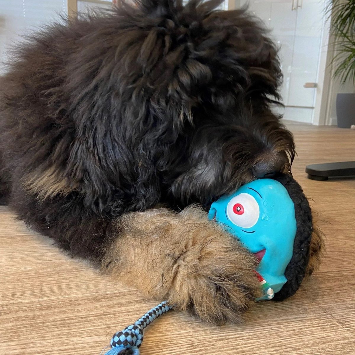 М'яка іграшка для собак Max & Molly Snuggles Toy Bubba King — Фото 4