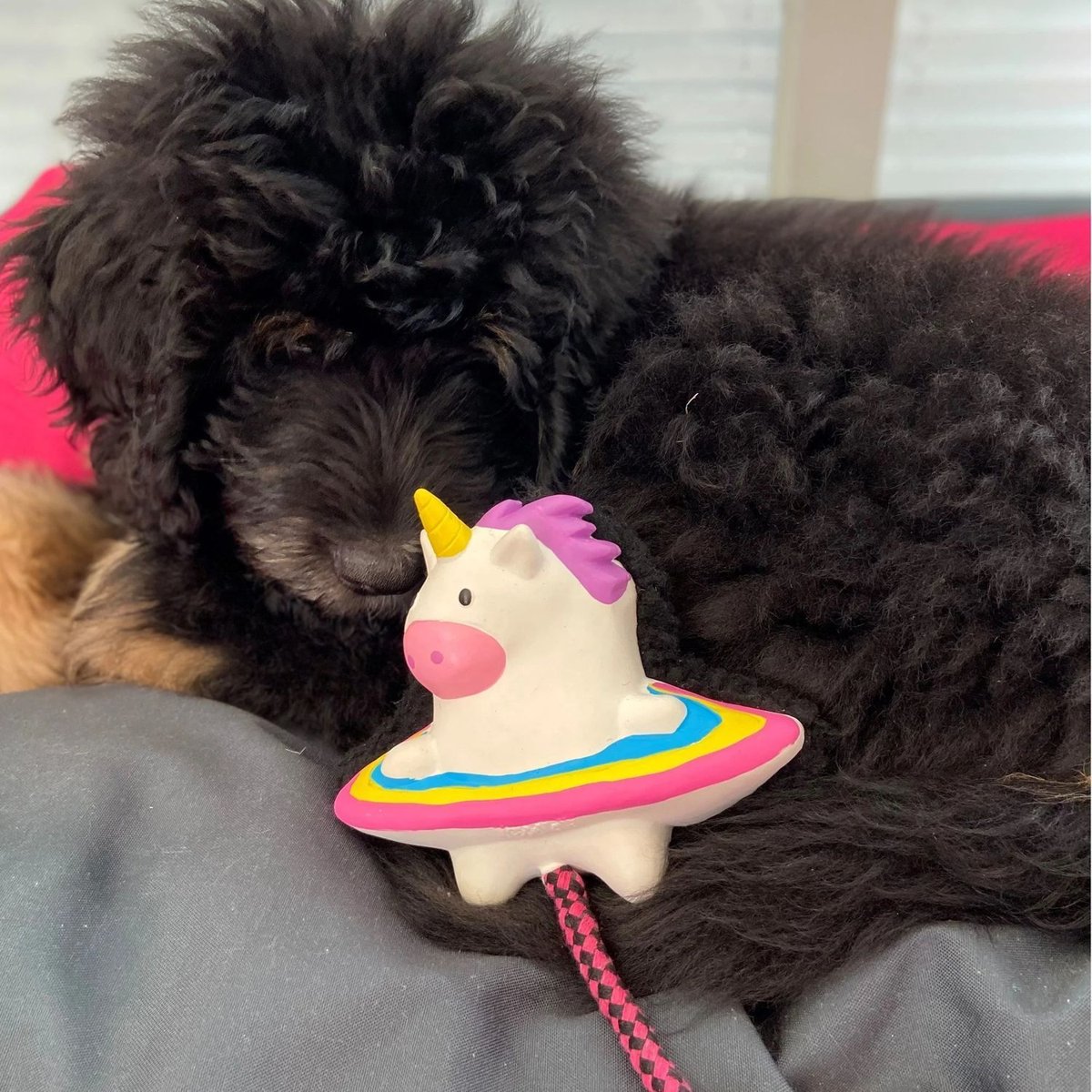 М'яка іграшка для собак Max & Molly Snuggles Toy Magic Mikey — Фото 3