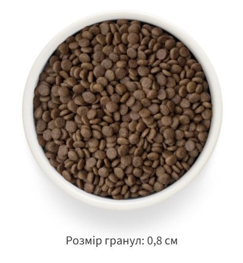 Сухий корм Grandorf Fresh ягня з бататом для стерилізованих котів — Фото 3