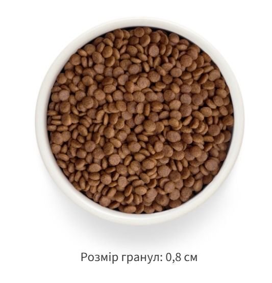 Сухий корм Grandorf Fresh лосось та батат для дорослих котів — Фото 3