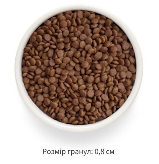 Сухий корм Grandorf Fresh ягня з бататом для дорослих котів — Фото 3