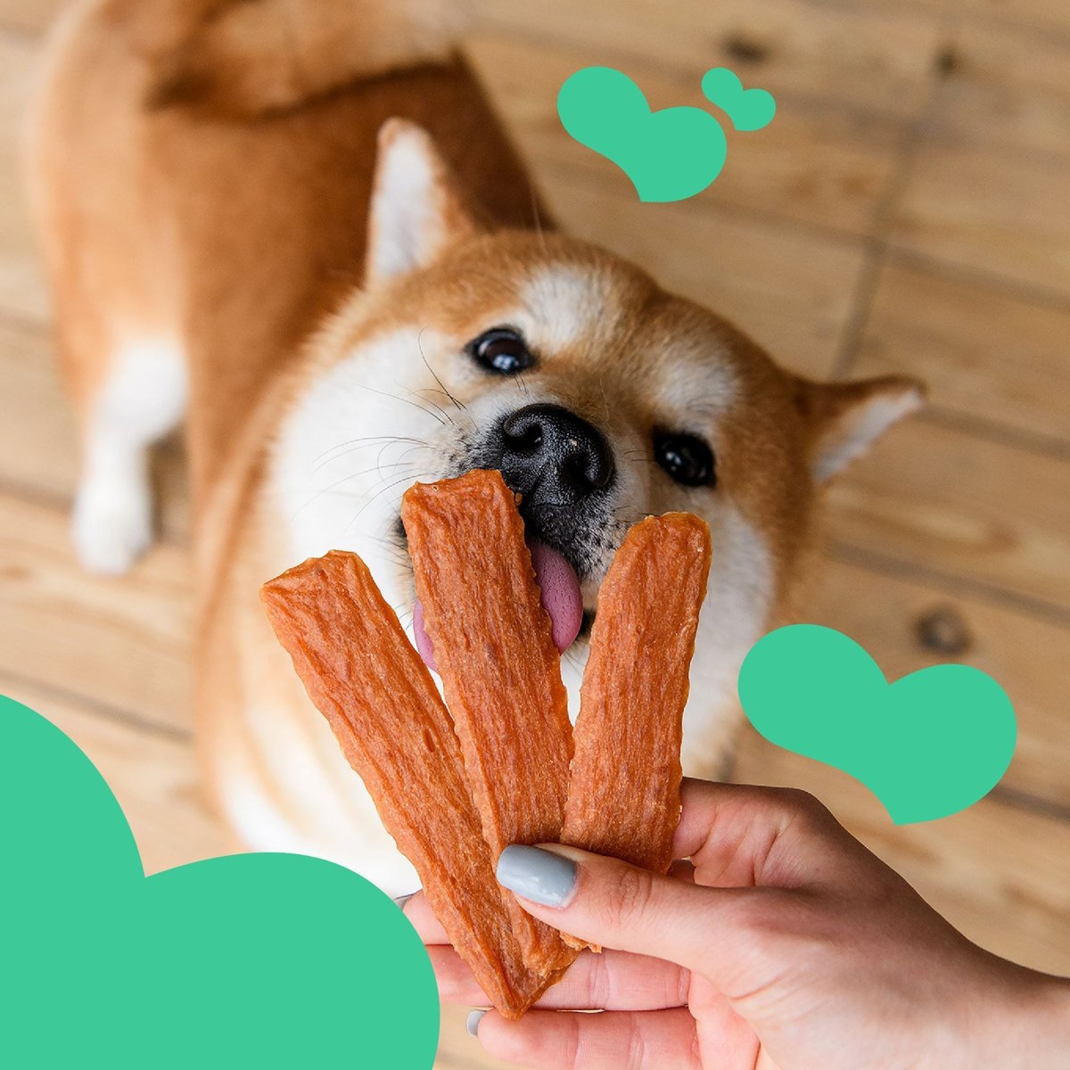 Ласощі для собак Mavsy Dried Rabbit Chip — дієтичні чіпси з кролика для собак з чутливим травленням, 100 г — Фото 5