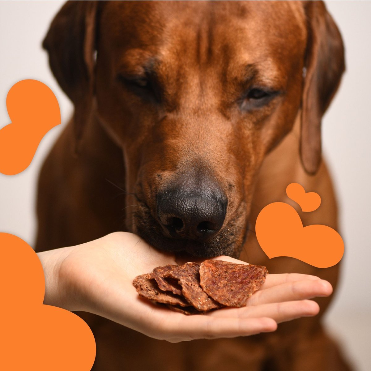 Ласощі для котів і собак Mavsy Duck Round Chip — чіпси з качки з насінням чіа та морквою, 50 г — Фото 6
