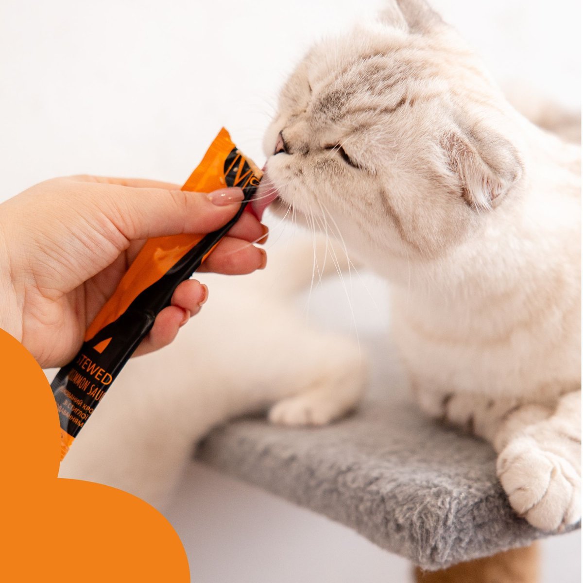 Ласощі для котів і собак Mavsy Creamy Treats Rabbit + Chia Seed — тушкований кролик у підливці зі стиглої хурми з додаванням насіння чіа — Фото 5